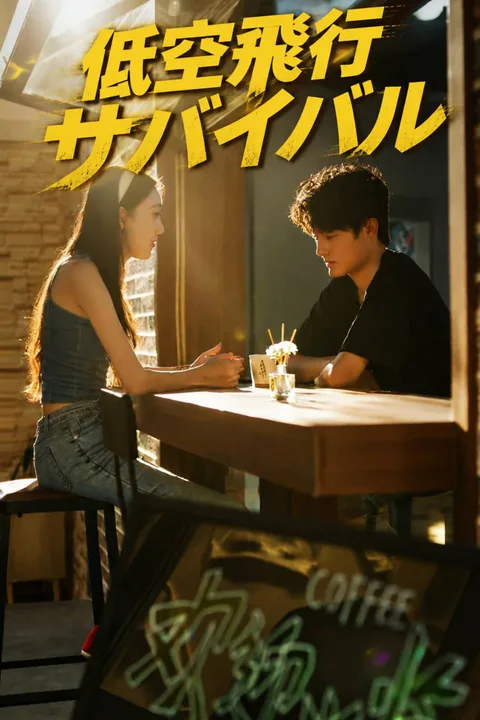 低空飛行サバイバルのポスター