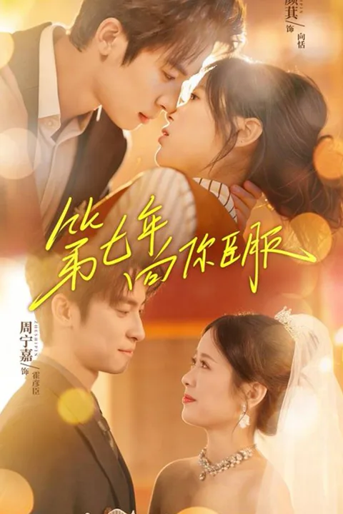 《第七年向你臣服》海报