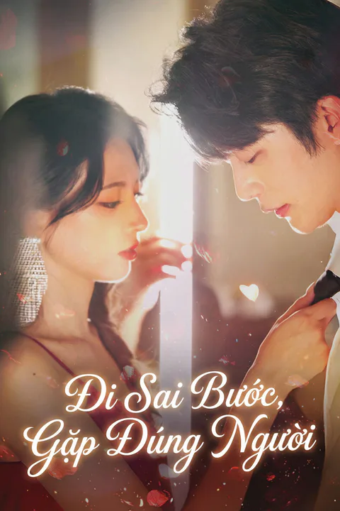 Poster Đi Sai Bước, Gặp Đúng Người