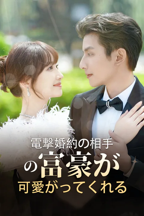 電撃婚約の相手の富豪が可愛がってくれるのポスター