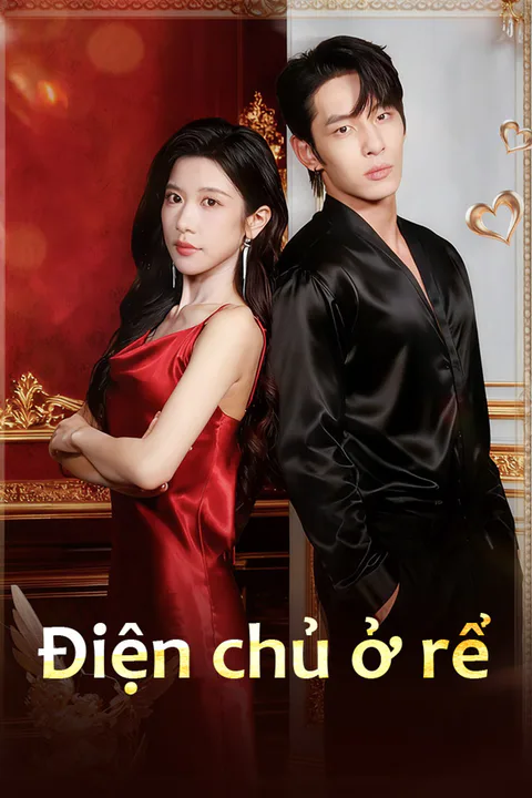 Poster Điện chủ ở rể