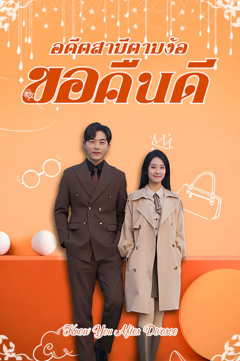 โปสเตอร์ อดีตสามีตามง้อขอคืนดี