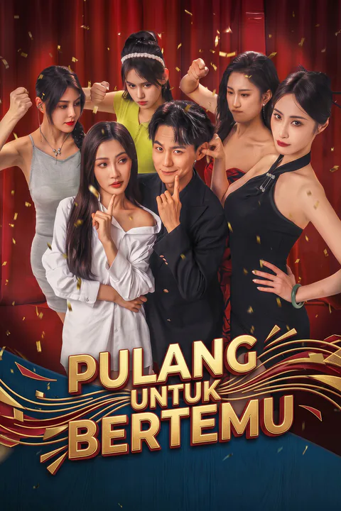 Poster Pulang untuk Bertemu (Sulih Suara)