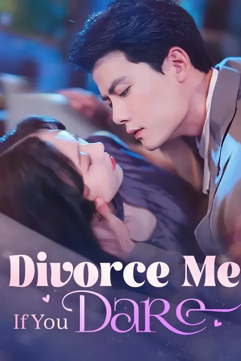 Divorce Me If You Dare poster