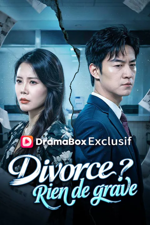 Affiche de Divorce ? Rien de grave (Doublé)