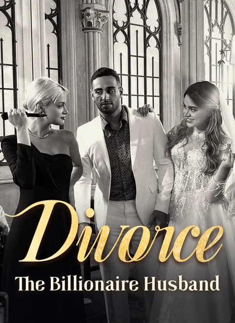 Divorce The Billionaire Husband poster