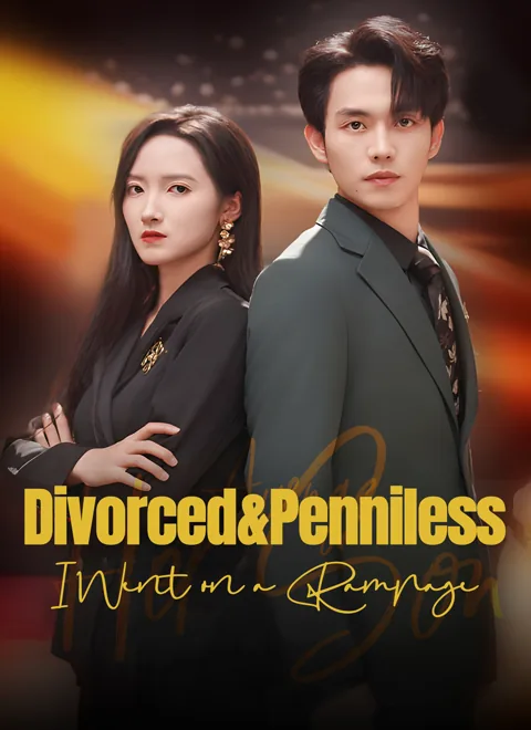 Divorced & Penniless: I Went on a Rampage poster