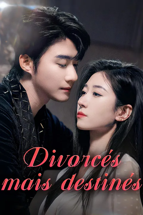 Affiche de Divorcés mais destinés
