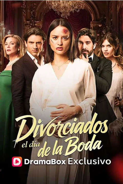 Póster de Divorciados el día de la boda