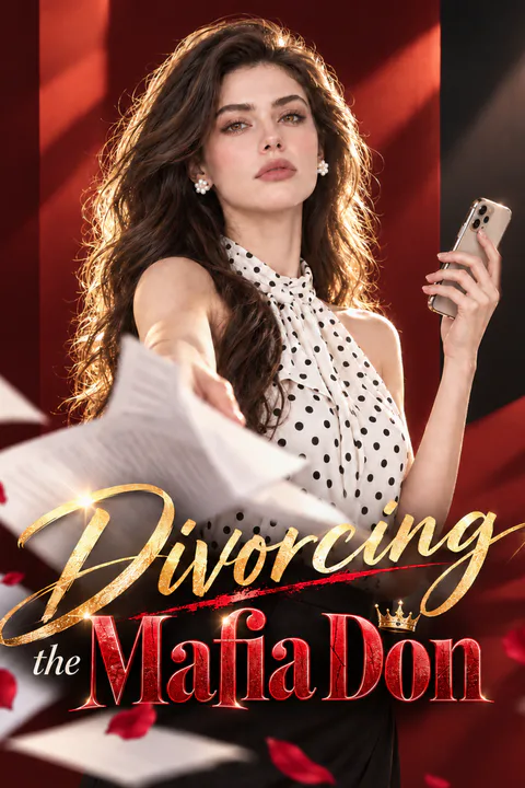 Divorcing the Mafia Don poster