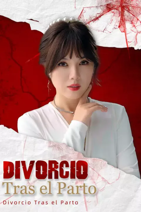 Póster de Divorcio Tras el Parto