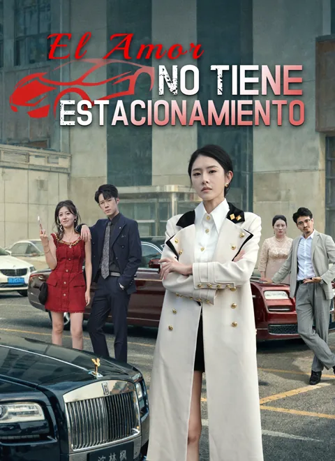 Póster de [Doblado]El amor no tiene estacionamiento