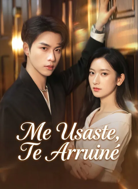 Póster de [Doblado]Me Usaste, Te Arruiné