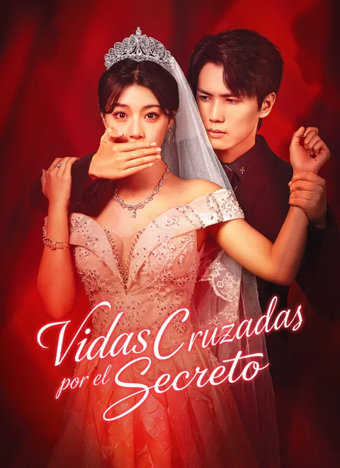 Póster de [Doblado]Vidas cruzadas por el secreto