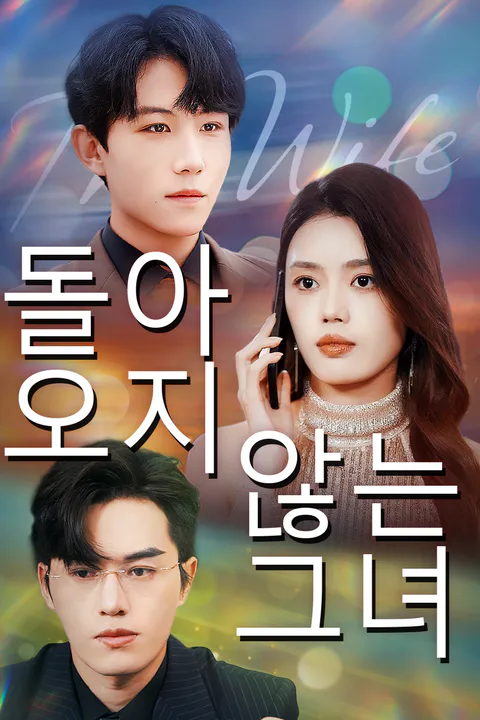 돌아오지 않는 그녀 포스터