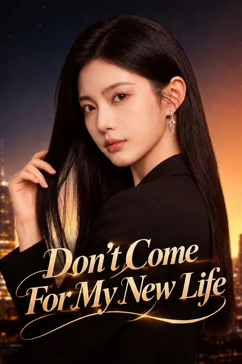 Don’t Come For My New Life poster