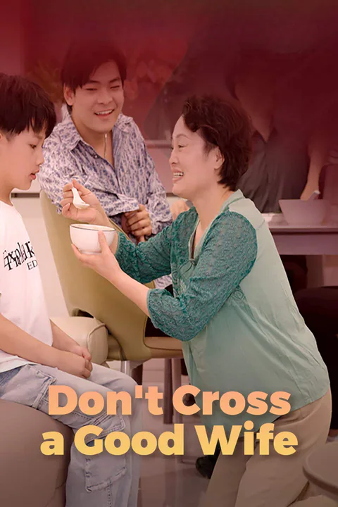 Don't Cross a Good Wife poster