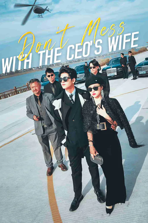 Don't Mess with the CEO's Wife poster