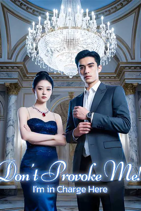 ‌Don't Provoke Me! I'm in Charge Here poster