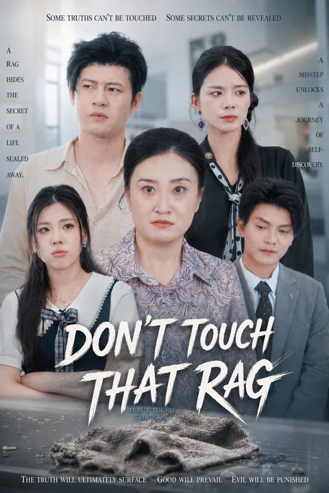 Don’t Touch That Rag poster