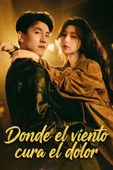 Póster de Donde el viento cura el dolor