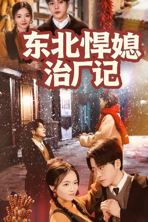 《东北悍媳治厂记》海报