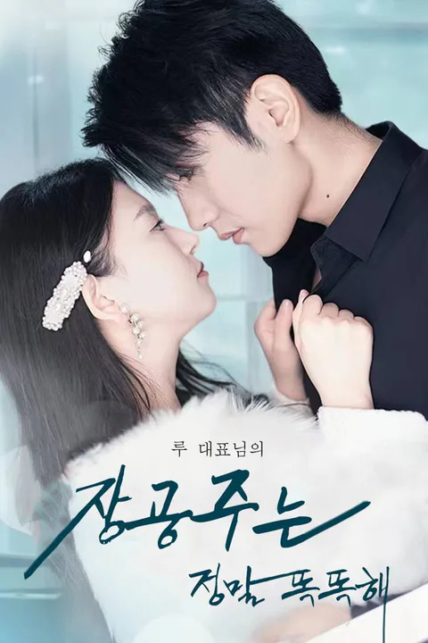돈이 많은 루 대표님의 장공주 포스터