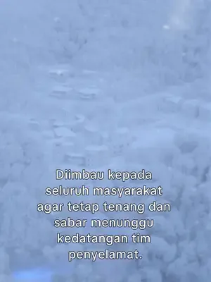 Donmuş kardeşlerin pişmanlığı afişi