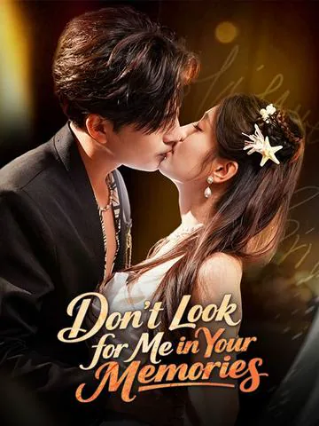 Don't Look for Me in Your Memories poster