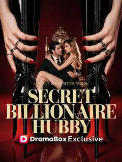 Don’t Mess With Your Secret Billionaire Hubby poster