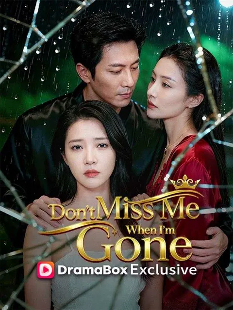 Don't Miss Me When I'm Gone(DUBBED) poster