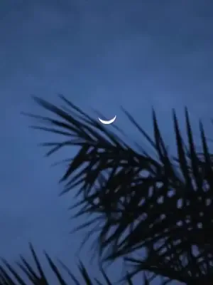 Dört baba, tek varis afişi