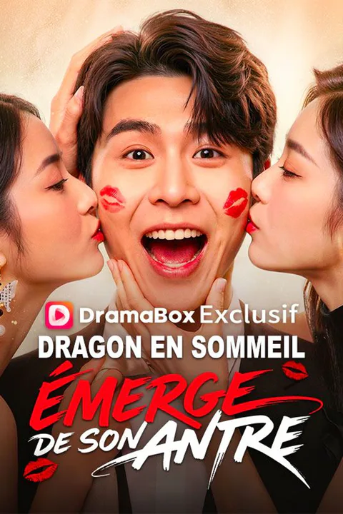 Affiche de Dragon en Sommeil Émerge de son Antre (Doublé)