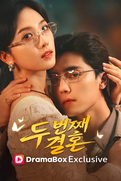 두 번째 결혼 포스터