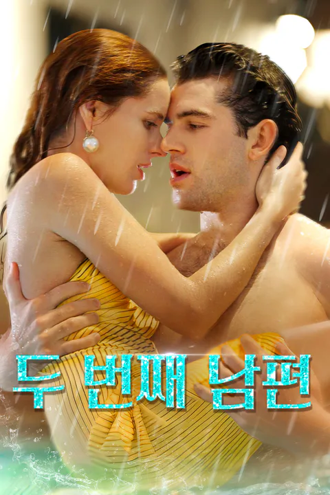 두 번째 남편 포스터