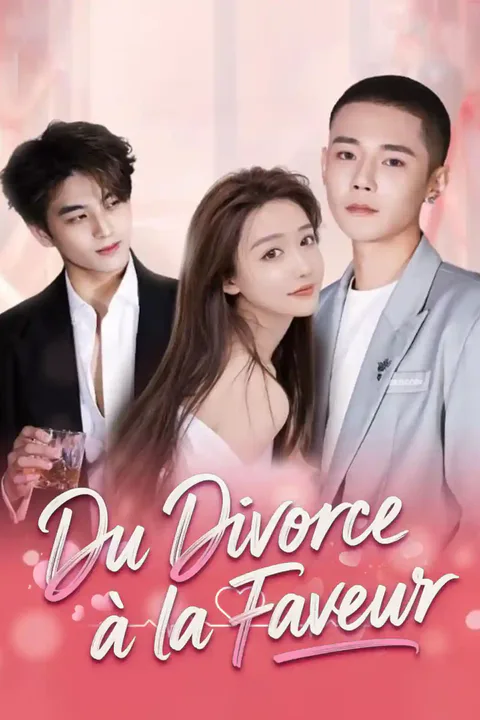 Affiche de Du Divorce à la Faveur