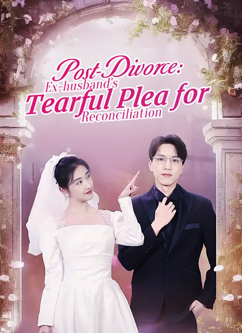 [Dubbed] Post-Divorce: Ex-husband's Tearful Plea for Reconciliation poster