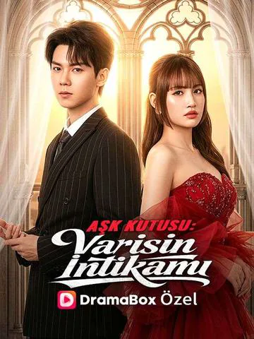 (Dublajlı) Aşk Kutusu: Varisin İntikamı afişi