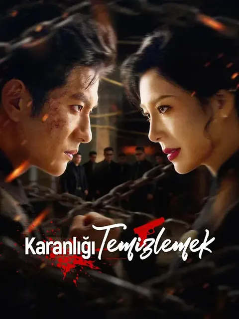 (Dublajlı) Karanlığı Temizlemek afişi