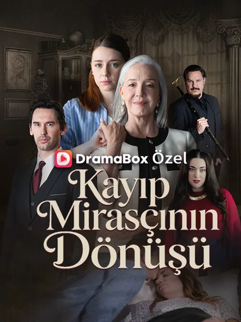 (Dublajlı) Kayıp Mirasçının Dönüşü afişi