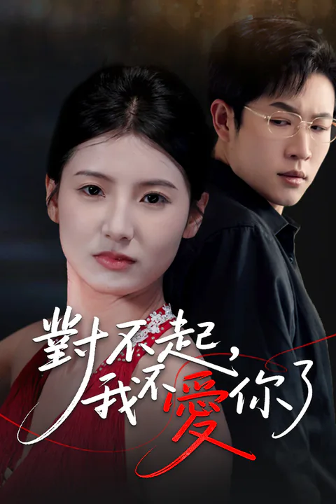 《對不起，我不愛你了》海報