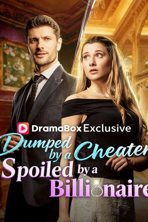 Dumped by a Cheater, Spoiled by a Billionaire poster