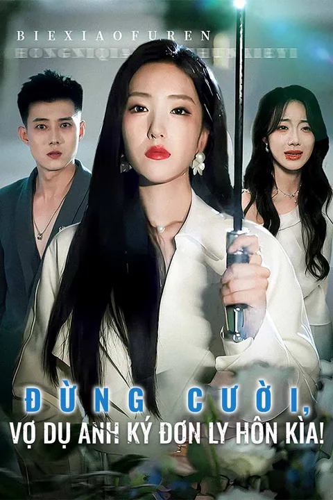 Poster Đừng Cười, Vợ Dụ Anh Ký Đơn Ly Hôn Kìa!