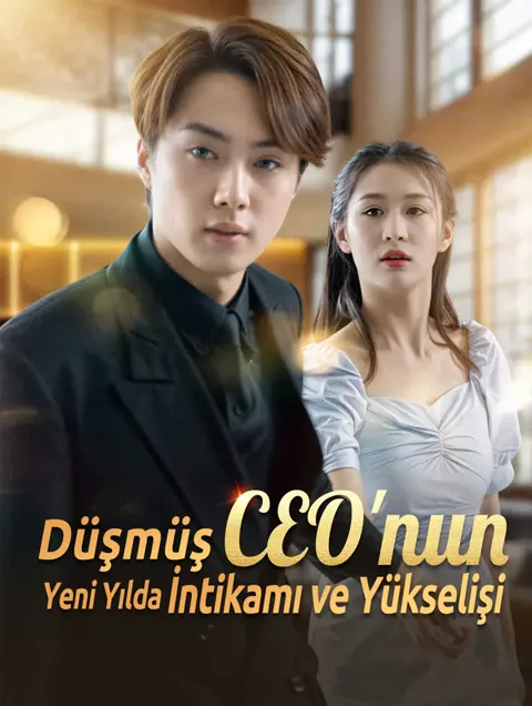 Düşmüş CEO'nun Yeni Yılda İntikamı ve Yükselişi afişi
