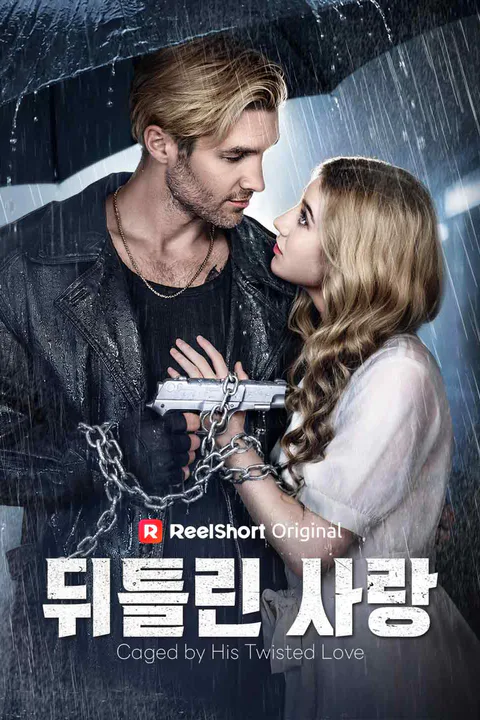 뒤틀린 사랑 포스터