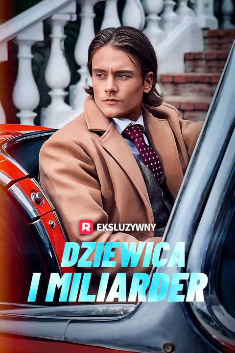 Dziewica i miliarder – plakat