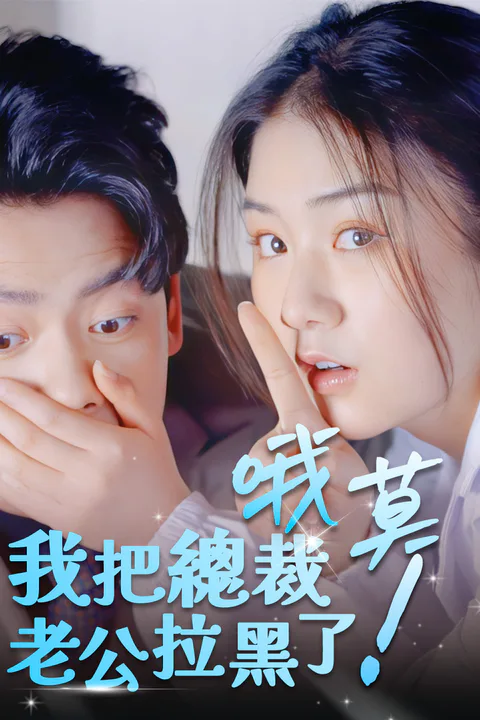 《哦莫！我把總裁老公拉黑了》海報