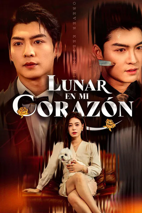 Echo of You poster
