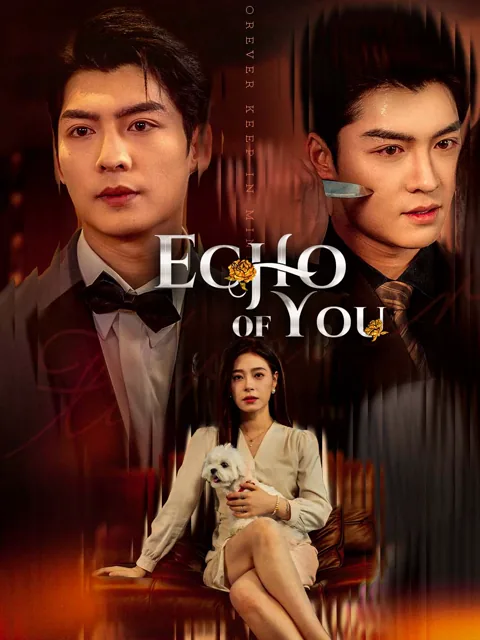Echo of You poster