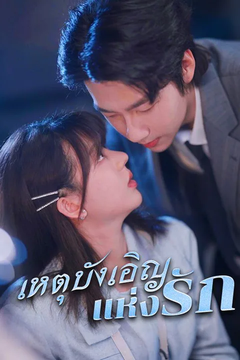 โปสเตอร์ เหตุบังเอิญแห่งรัก